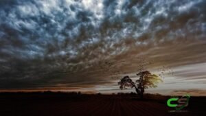 O que esperar do clima em 2025: Calor Extremo e Chuvas Irregulares