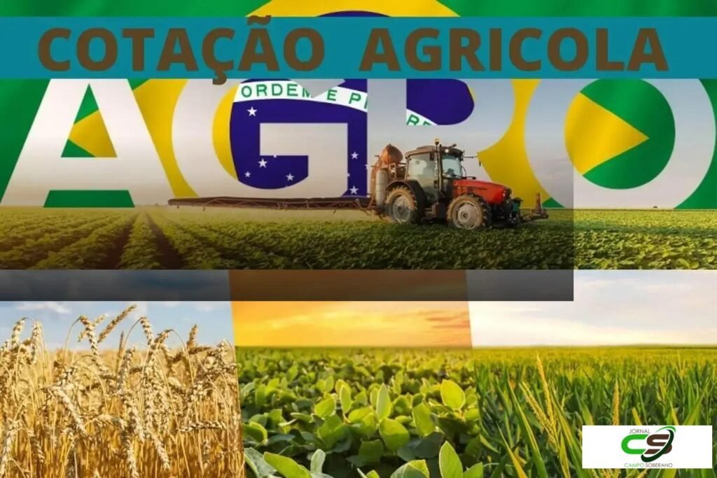 Atualização de cotações de milho e soja para fevereiro de 2025