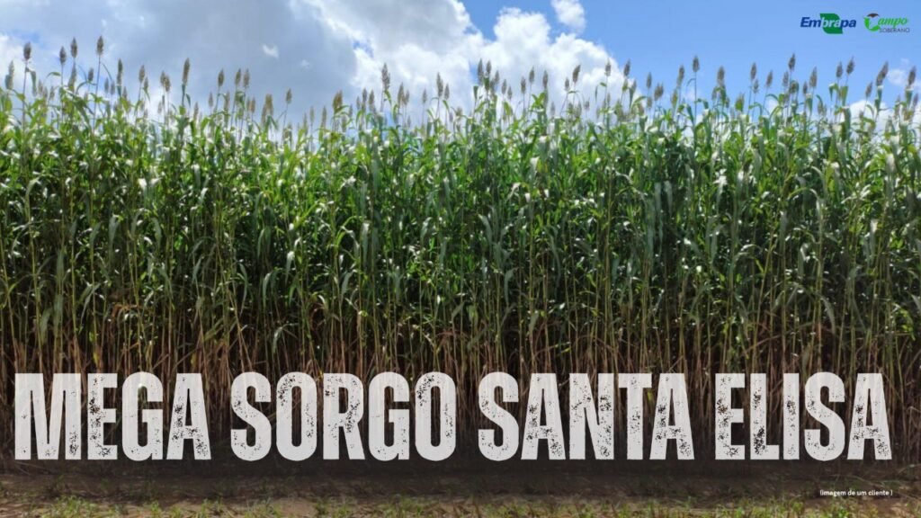 photo 2025 04 14 11 47 57