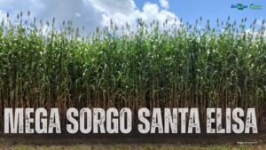 photo 2025 04 14 11 47 57