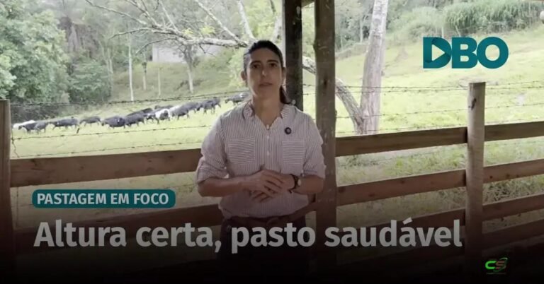 A regra de ouro do manejo: como a altura do pasto impacta produtividade