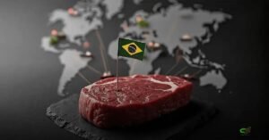 Importadores criam barreiras à carne bovina brasileira: motivos e impactos