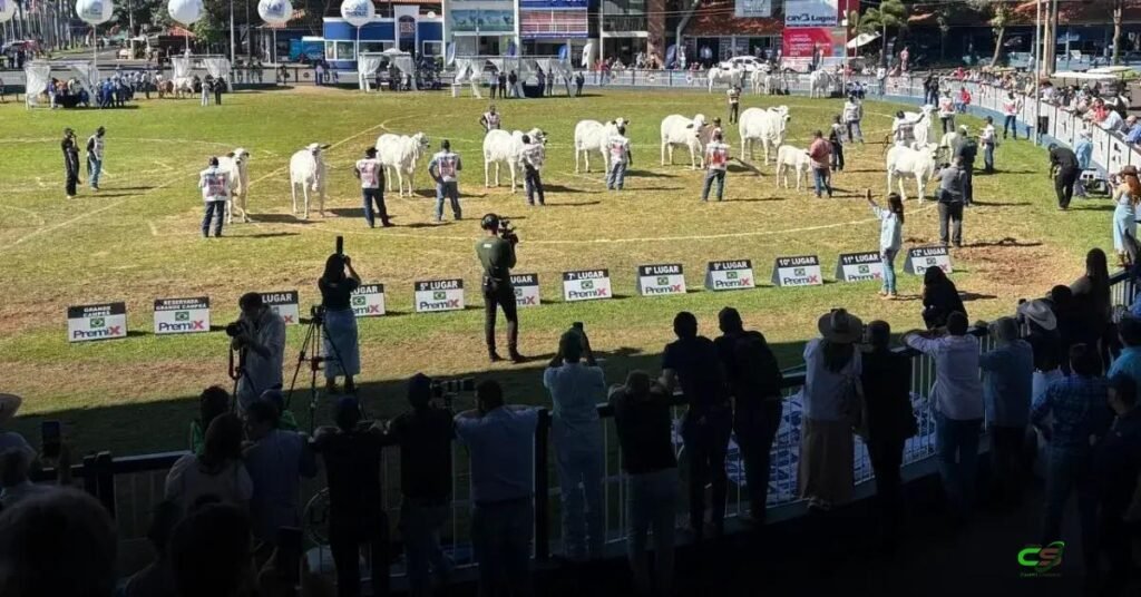 Inscrições abertas para a Expoinel Minas 2026 em Uberaba — julgamentos e leilões