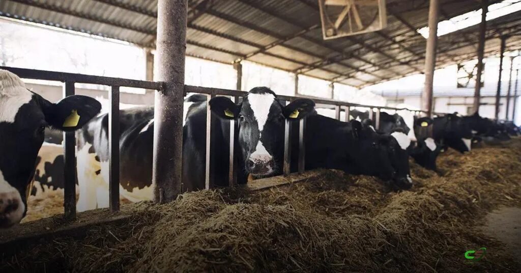 Preço do leite ao produtor cai 25,8% em 2025 e aperta margens