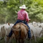 CNA esclarece regras para uso de chapéu e capacete no trabalho rural