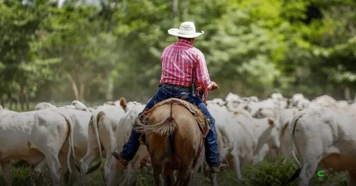 CNA esclarece regras para uso de chapéu e capacete no trabalho rural