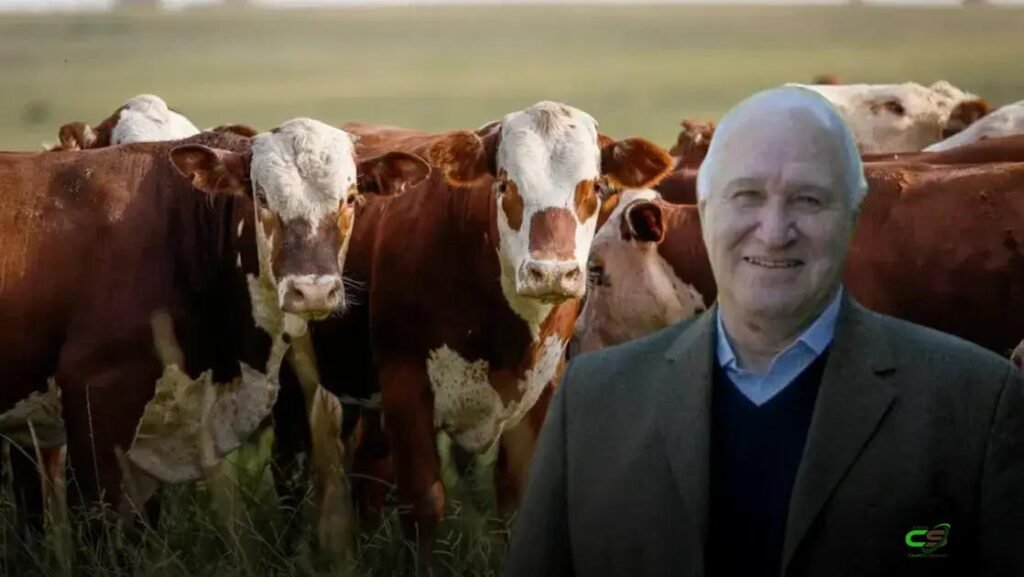 Escassez de gado no Mercosul pressiona indústria da carne a mudar modelo