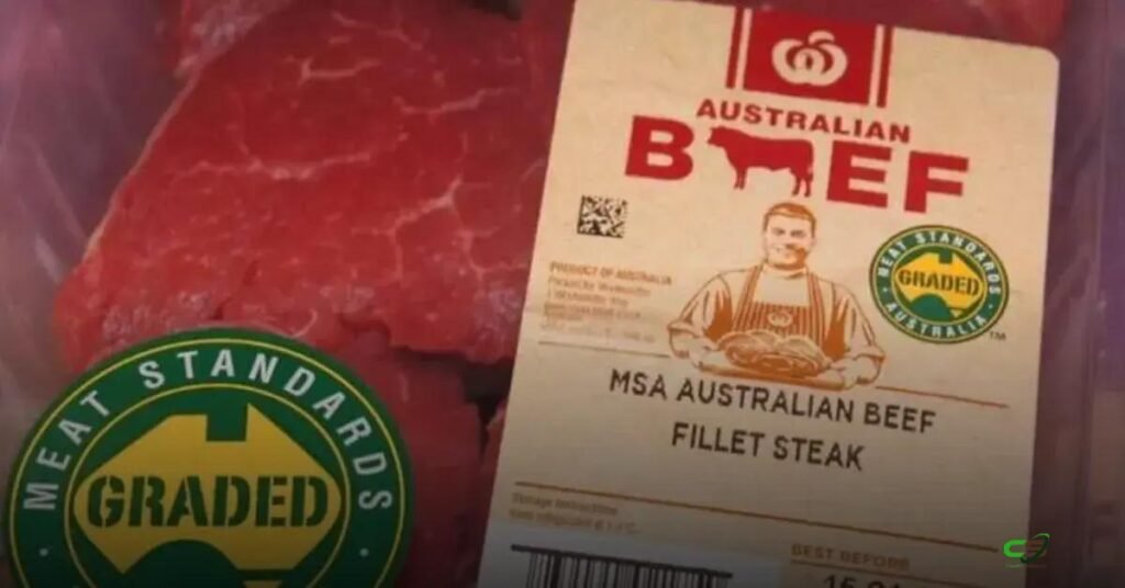 Exportações da Austrália: janeiro registra alta na carne bovina