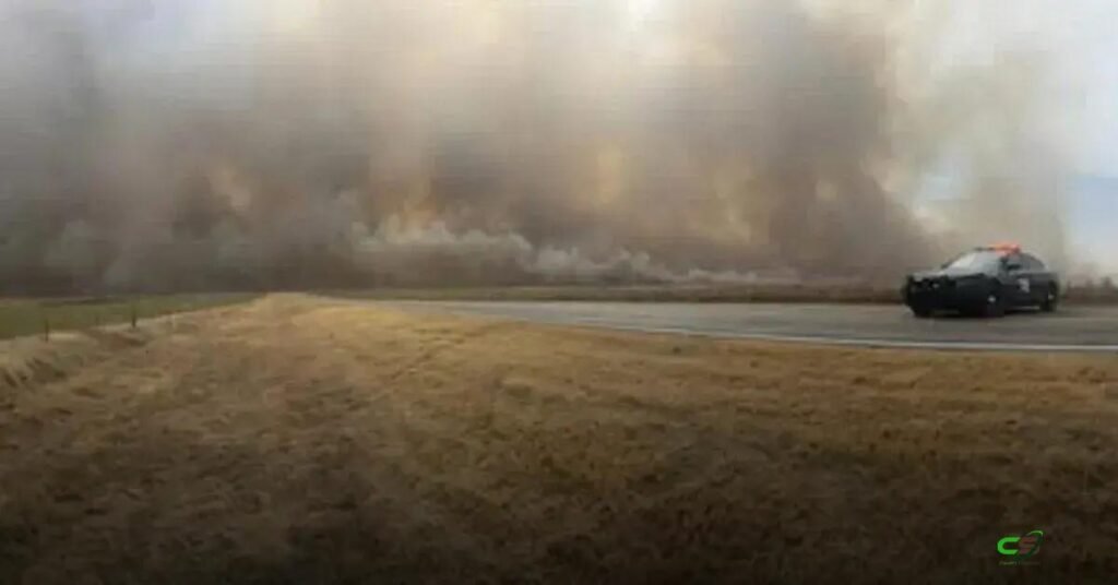 Incêndios destroem pastagens e matam gado, ameaçando produção nos EUA