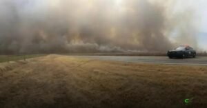 Incêndios destroem pastagens e matam gado, ameaçando produção nos EUA