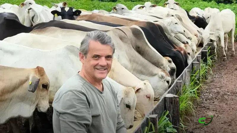 Pecuária regenerativa na Amazônia: reduzir emissões e recuperar pastagens