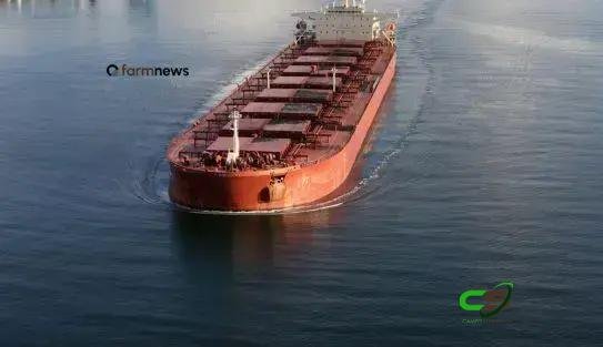 Preço de importação de fertilizantes no Brasil sobe no início de 2026