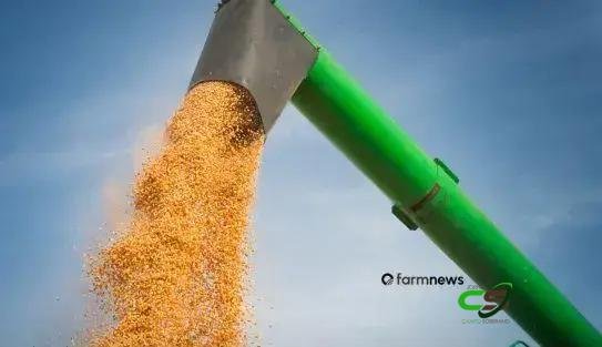 Produção e estoque mundial de milho: revisões do USDA em fevereiro