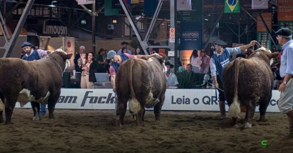 ABHB divulga programação da 20ª Exposição Nacional Hereford e Braford