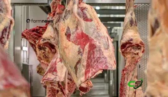 Ágio da carne bovina exportada cai em março de 2026; câmbio pesa 1 Ágio da carne bovina exportada cai em março de 2026; câmbio pesa