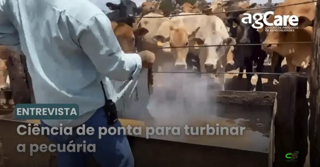 Agroceres Multimix lança agCare: divisão para aditivos de alta performance