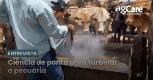 Agroceres Multimix lança agCare: divisão para aditivos de alta performance