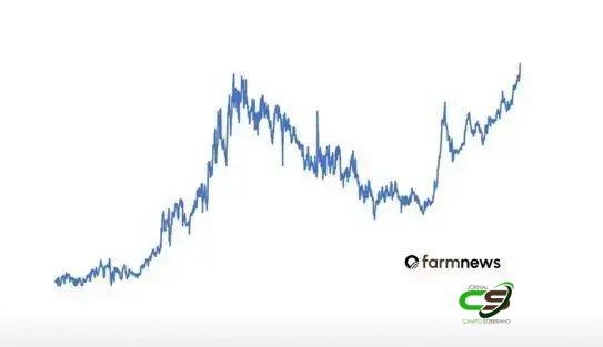 Arroba do bezerro passa R$500 pela primeira vez e bate novo recorde 1 Arroba do bezerro passa R$500 pela primeira vez e bate novo recorde