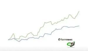 Bezerro registra novo recorde diário em março: alta em peso e cabeça