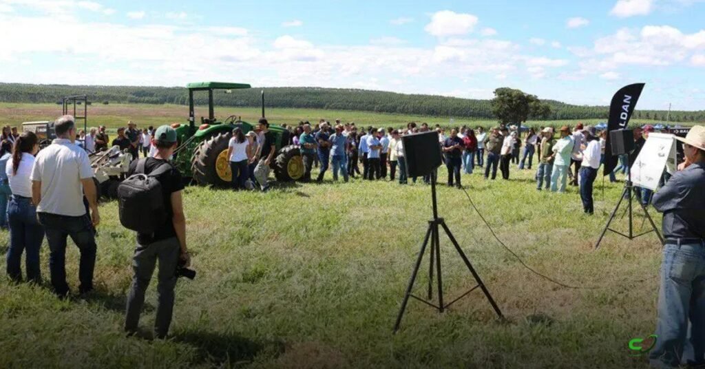 Como calagem e gessagem recuperam pastagens degradadas no Cerrado