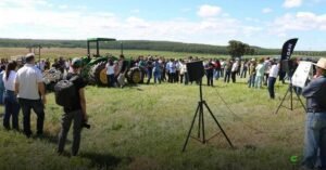 Como calagem e gessagem recuperam pastagens degradadas no Cerrado