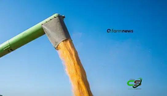 Como o Irã influencia o agronegócio do Brasil: milho, fertilizantes e riscos