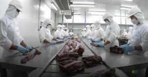 Exportações de carne bovina caem na parcial de março, mas preços sobem forte