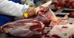 Exportações de carne bovina desaceleram na parcial de março; preços recordes