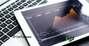 Futuro do boi gordo: posições em aberto renovam máxima de 2026