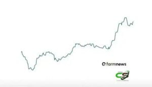 Futuro do boi gordo: volatilidade cresce, mas viés de alta persiste