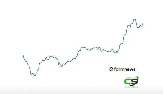 Futuro do boi gordo: volatilidade cresce, mas viés de alta persiste