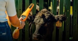 Gallagher lança leitor portátil HR0 para agilizar manejo e rastreabilidade