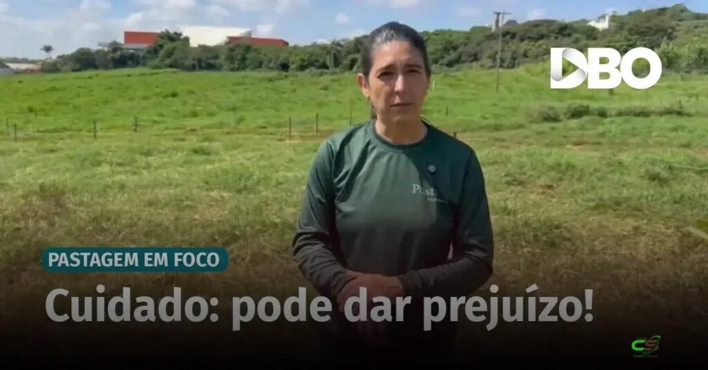 Mistura de capim pode reduzir produtividade e complicar manejo do pasto