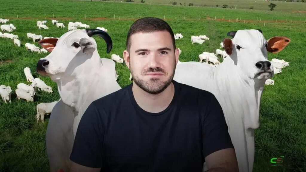 Nelore PO: gestão de recebíveis que transformou as vendas do Nelore Cascão 1 Nelore PO: gestão de recebíveis que transformou as vendas do Nelore Cascão