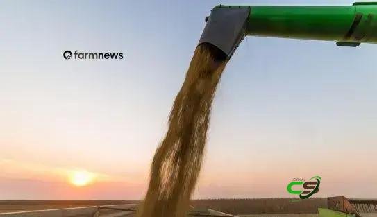 Preço futuro da soja recua; físico volta a cair na segunda quinzena