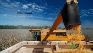 Preço futuro do milho sobe mais que o físico no fim da segunda quinzena