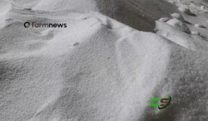 Ureia: preço futuro se aproxima de US$700 por tonelada em abril